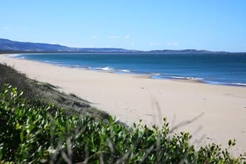 Aloha - Pet & Family Friendly - 10 Min Walk to Beach4