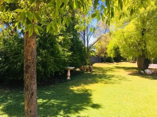 Balonne River Motor Inn3