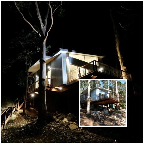 The Tree House3
