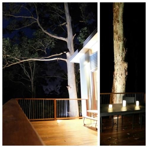 The Tree House2