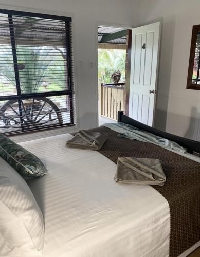 The Bearded Dragon Boutique Hotel1