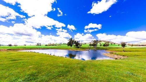Hillview Farmstay0