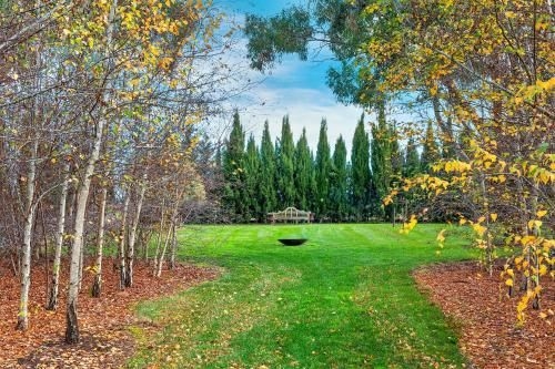 Orchards at Spring Vale Farm3