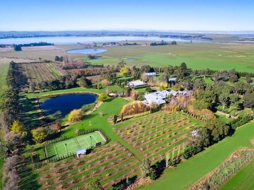 Orchards at Spring Vale Farm1