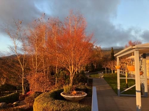 Mole Creek Hideaway1