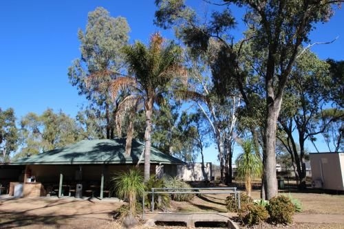 AAOK Jandowae Accommodation Park3