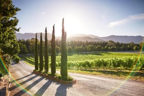 Feathertop Winery1