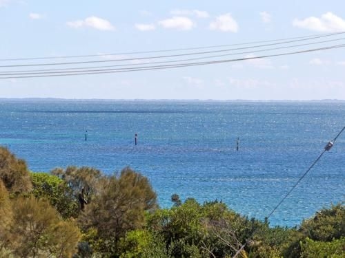 BEACH BELLE - MORNINGTON1