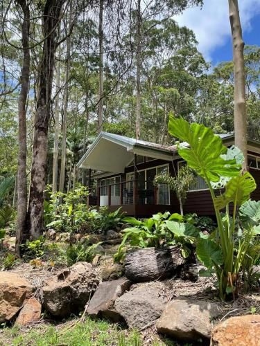 Songbirds Rainforest Retreat3