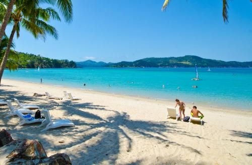 Heliconia Grove on Hamilton Island2