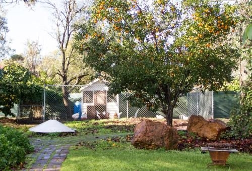 Farview Guest Accommodation4