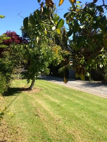 Vineyard Cottage BnB4