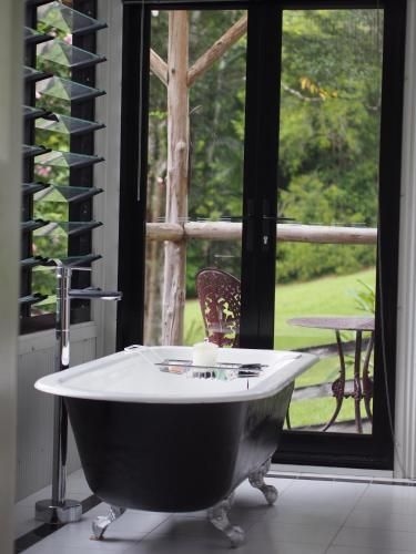 Nightcap Ridge - Byron Bay Hinterland0