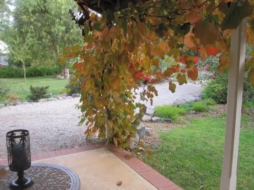 Amys House1