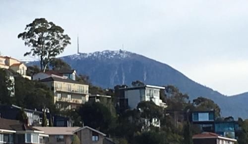 The Lookout1