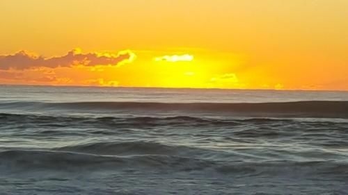 Outrigger Burleigh1