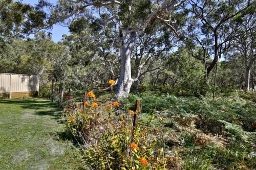 Wildwood - Pet Friendly - 5 Mins to Beach3