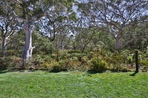 Wildwood - Pet Friendly - 5 Mins to Beach4