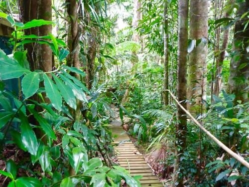 Kuranda Ngorongoro Lodge1
