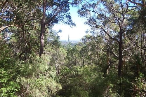 Tall Timbers at Youngs1