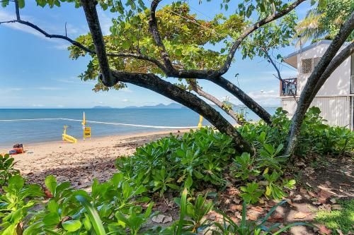 WINDFALL IN PALM COVE1