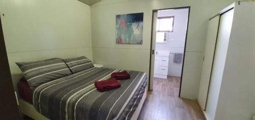 Pinjarra Caravan Park and Cabins1