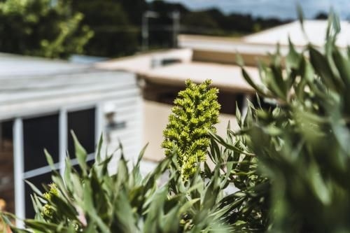 Daylesford Spa Accommodation2