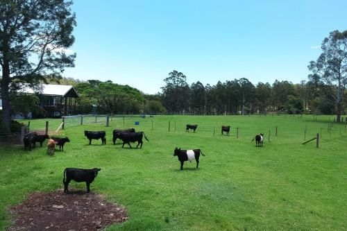 Curra Homestead Maleny3