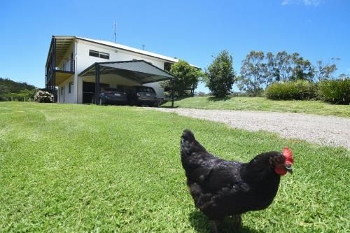 Curra Homestead Maleny2