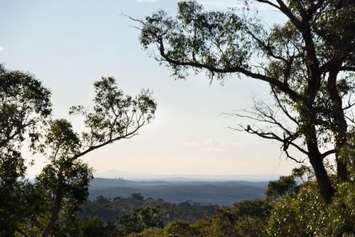 Barwidgee2
