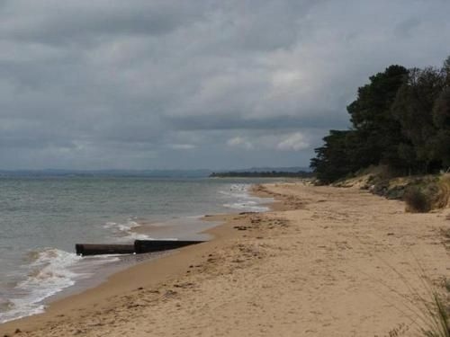 Kava Villa Cowes3