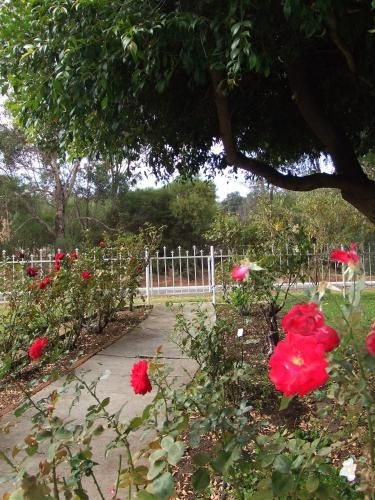 Woodlands of Bridgetown B&B2