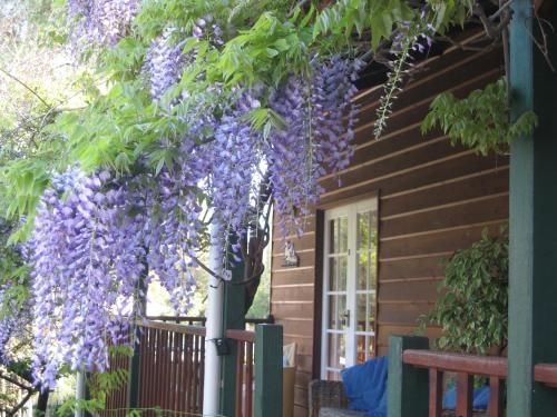 RoseMoore Bed & Breakfast4