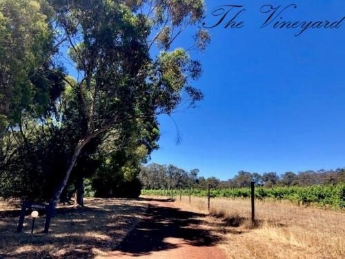 Harmony Forest Cottages & Lake side Lodge (Harmony Forest Cottages)3