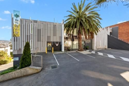 Areca Launceston1