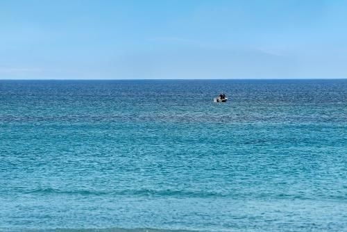 Aldinga Beach Experience1