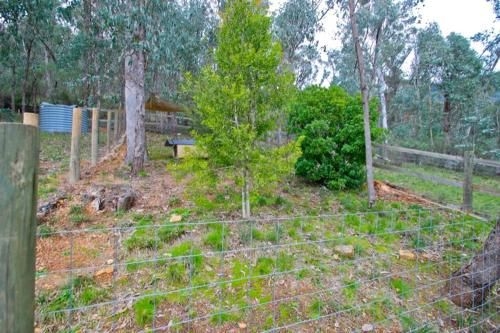 Gumtree Villa4
