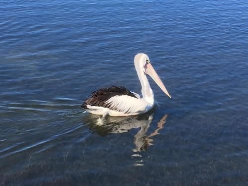 Riverside Rest Nambucca Heads4