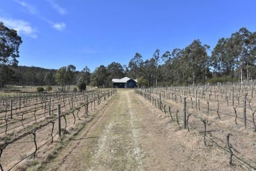 The Parson's Vineyard Retreat - get amongst the vineyards in a historic home (The Parson's Vineyard Retreat - Get Amongst The Vineyards In A Historic Home)4