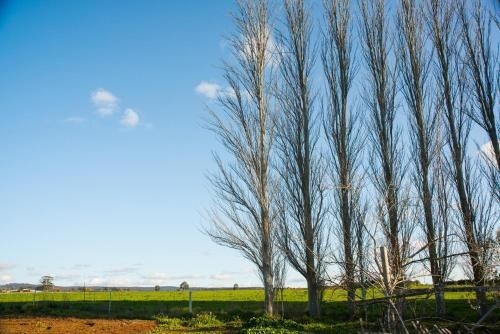 Royal Standard Farm Daylesford2