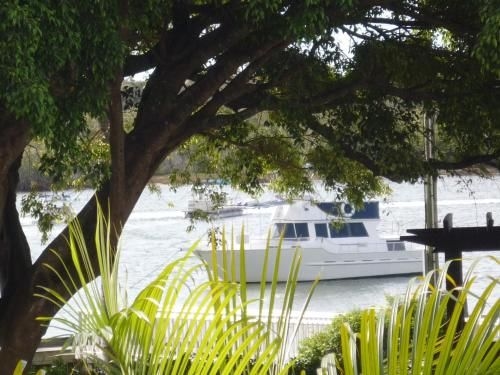 Regatta Noosa2