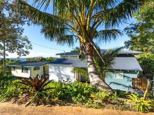 Cylinder Palms0