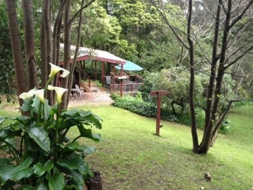 Stone's Throw Cottage Bed and Breakfast0