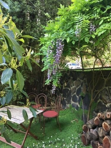 Stone's Throw Cottage Bed and Breakfast1