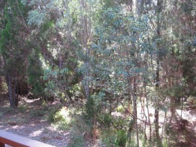 The Sanctuary1