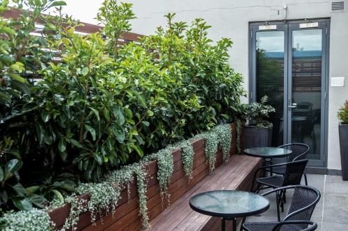 Crown Hotel Surry Hills2