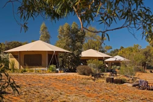 Squeakywindmill Boutique Tent B&B0