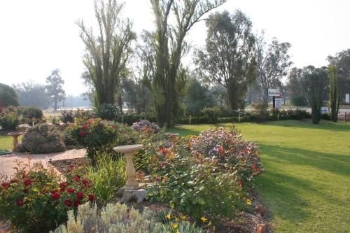 Newell Motor Inn Narrandera4