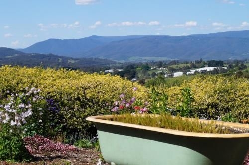 Eagles View Bed and Breakfast2