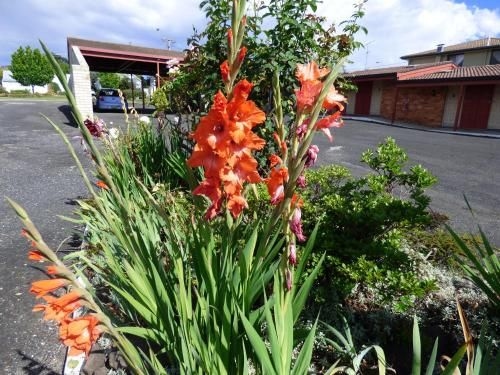 Anna Bella Motel Glen Innes4